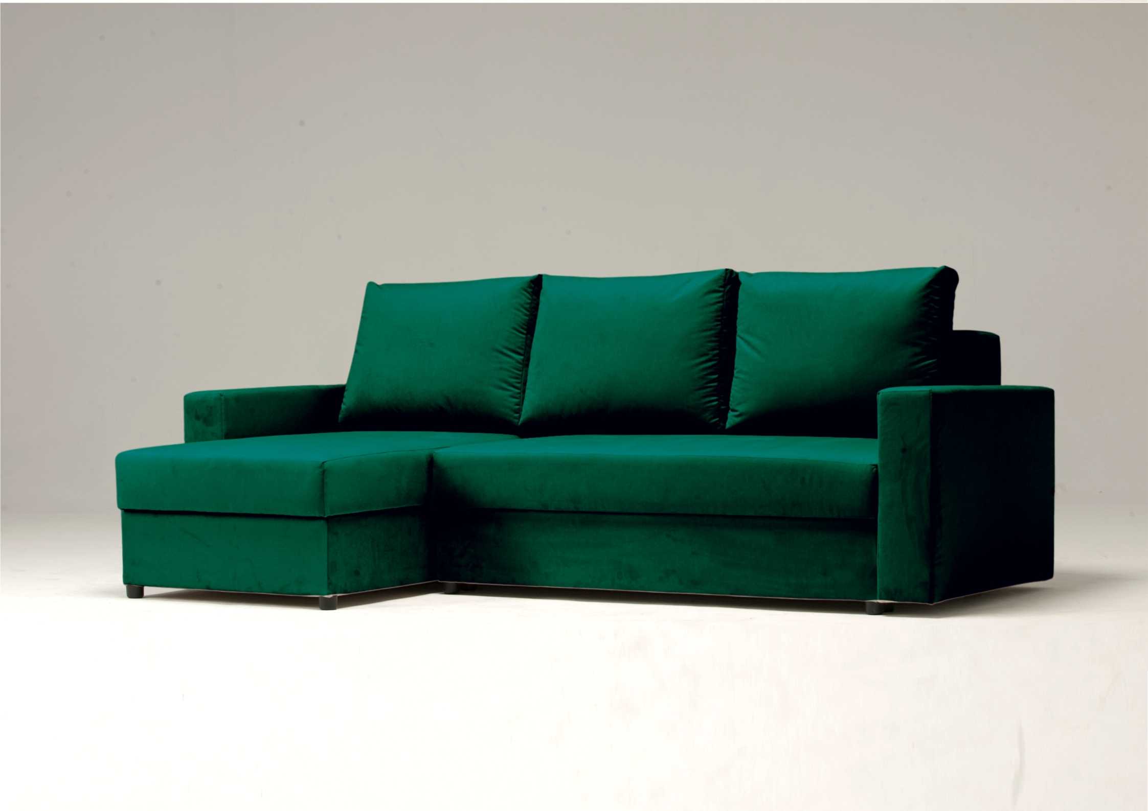 Zwykła zielona rogówka